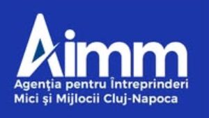 Centrul Teritorial pentru Intreprinderi Mici si Mijlocii Cluj-Napoca