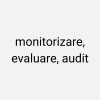 Monitorizare si audit